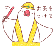 556622699