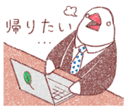 556622715