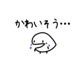 556623244