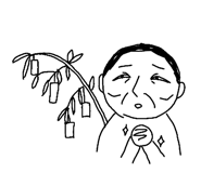 556623533