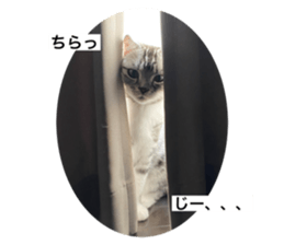 556624559