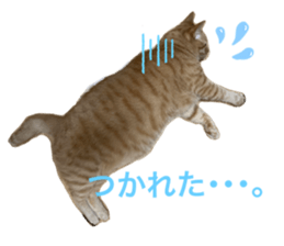 556631911
