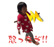 556638582