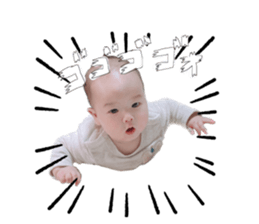 556638754