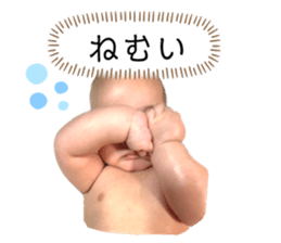 556638766