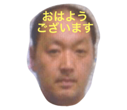 55665310