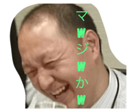 55665317