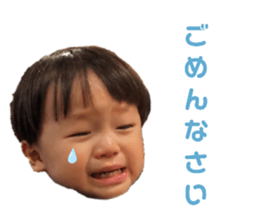 556661134
