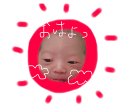 55666167