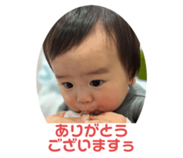 556663441