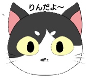 556675108