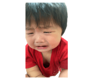 556678841