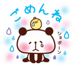 5566804