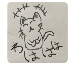 556681841