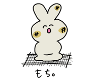 556685052