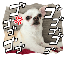 556686465