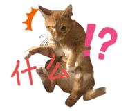 556689271