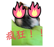 556689272