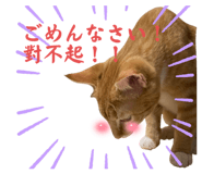 556689286