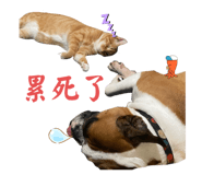 556689289