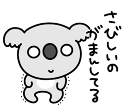 556689411