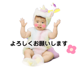 556694402
