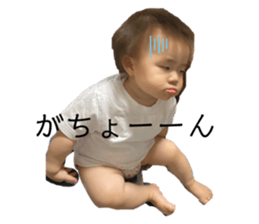 556694419