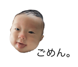 556695051