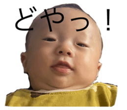 556695057