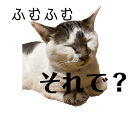 556696131