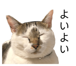 556696135