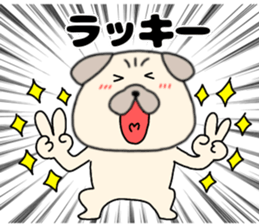556699541