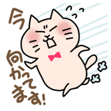 5567017