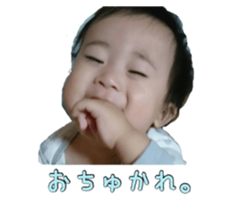 55670458