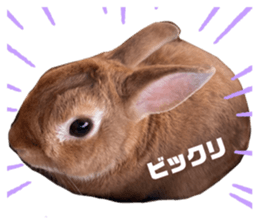 556720505