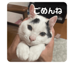 556728651