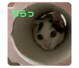 556728652