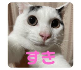 556728658