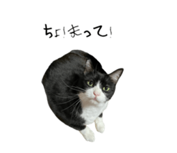556729177