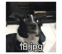 556737170
