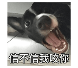 556737172
