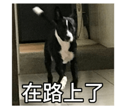 556737175