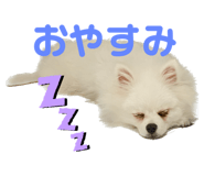 556739962