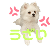 556739964