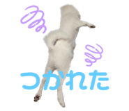 556739966