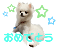 556739967