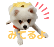 556739969