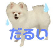 556739974