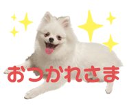 556739975