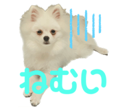 556739977
